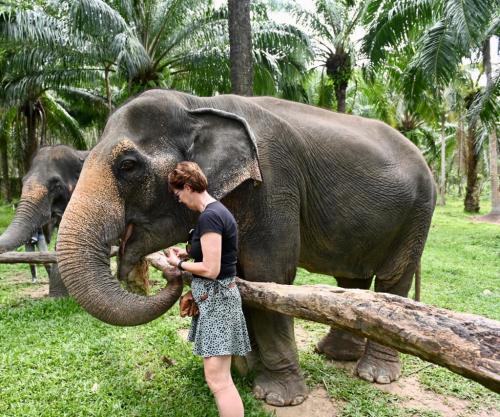 Thailand (3)